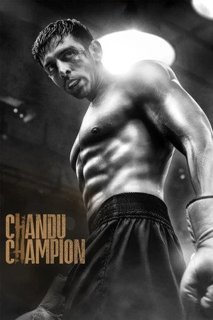 Chandu Champion 2024 Hindi Dual Audio WEB-DL 720p - 480p - 1080p